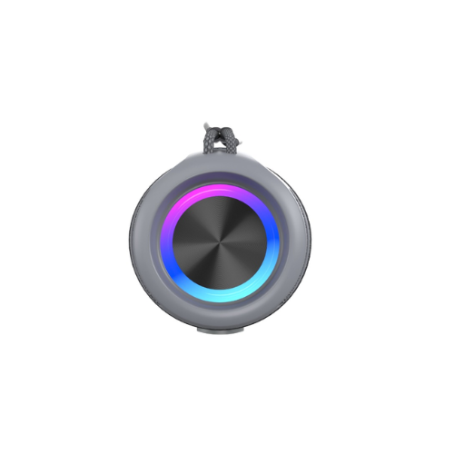 20W ProSound Wireless Speaker