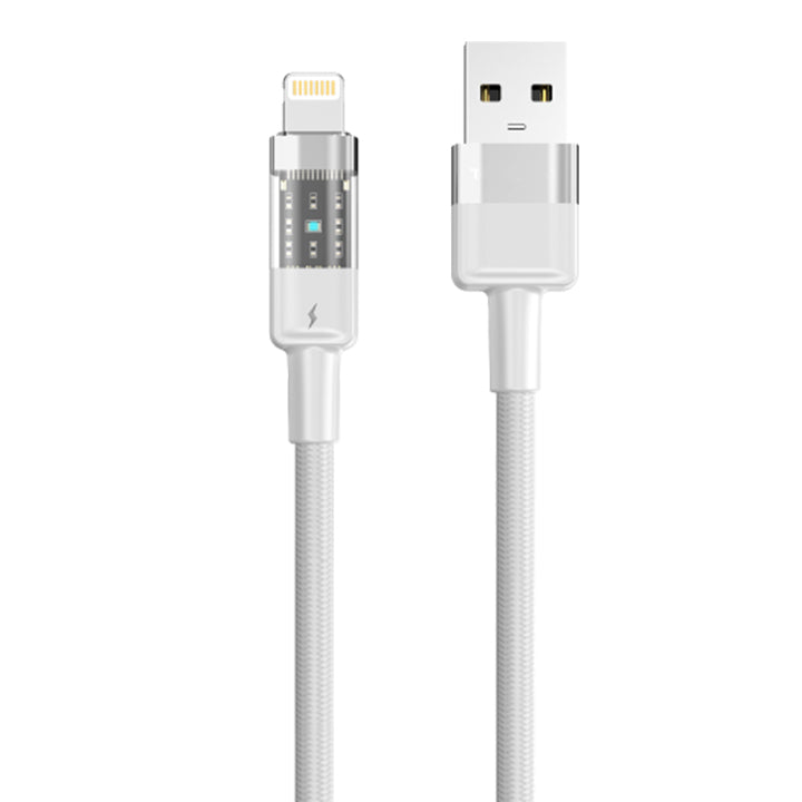 Fast Charging 60W Cable for iPhone