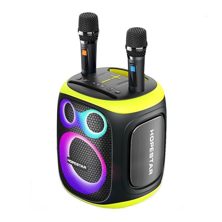 Ultra-High Power Wireless Outdoor Party 120W Handheld Bluetooth Speaker with Dual Microphones