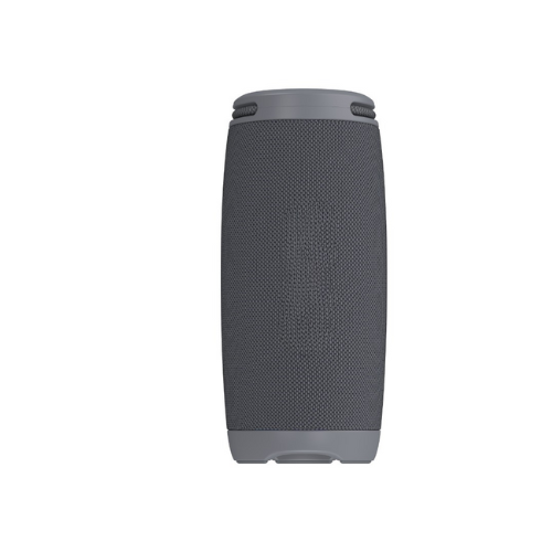 20W ProSound Wireless Speaker