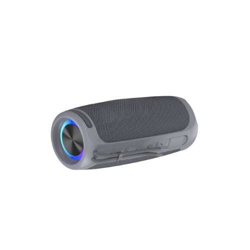 20W ProSound Wireless Speaker